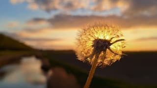 Genieten van de mooie zonsondergang