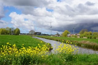 Mooi contrast