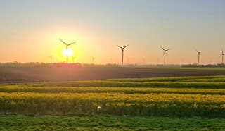 Windmolen in de.zon