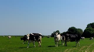 Geen wolkje aan de lucht 