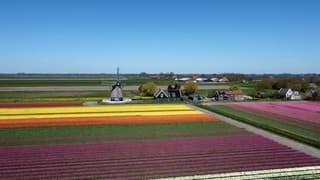 Kleurrijk 