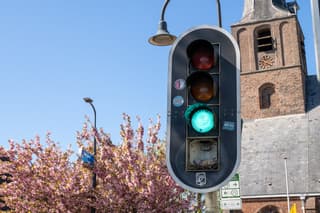 Het stoplicht staat op groen, voor de duif onderin is er wel wat te doen. 
