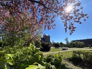 Strak blauwe lucht en veel zon 