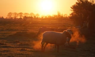 Mooie start