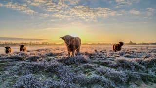 Scharreveld Drenthe