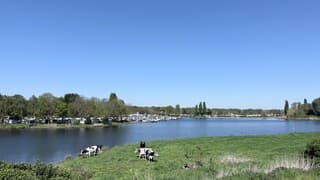 Genieten langs de Maas