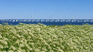 Fluitenkruiddijk met zicht op de Zeelandbrug
