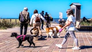 STRAK BLAUWELUCHT AAN ZEE
