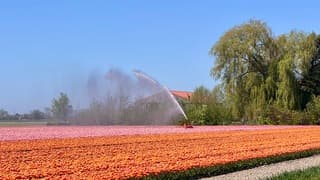 Beregeningsinstallatie 