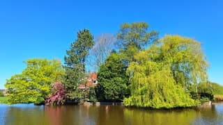 Strak blauwe lucht