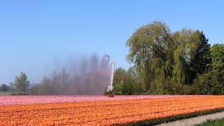 Beregeningsinstallatie 