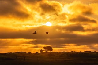 zonsopkomst ameland 23-04-2026