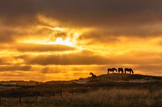 zonsopkomst ameland 23-04-2026