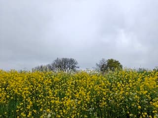Grijze lucht vanmorgen 