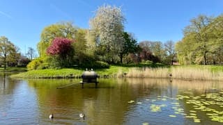 Vossepark