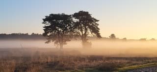 Loonse en Drunense duinen 