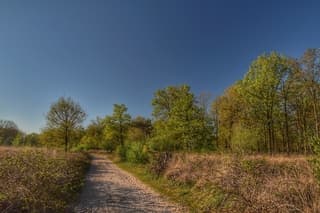 Mooie ochtendwandeling in de grote peel 