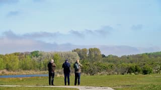 Vreemde Vogel gespot?