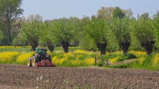 Het land bewerken zonder stuiven