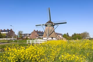 Heerlijk zonnig vanmiddag. 