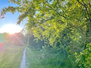 Avondlicht in het voorjaar
