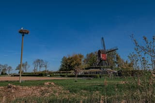 Molen en ooievaarsnest bij Leuth