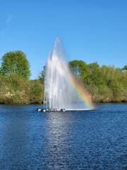 Regenboog