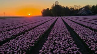 Zonsondergang 