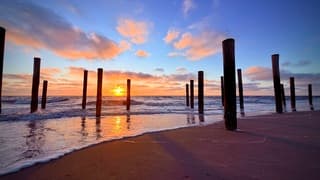 Palendorp Petten