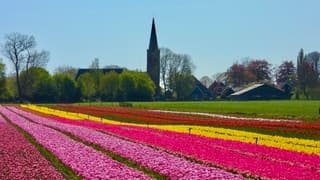 Kleurrijke lentedag 