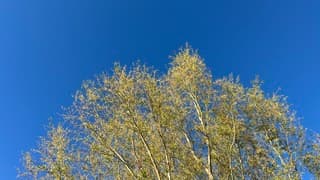 Zonnige donderdagavond 