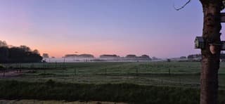 Goedemorgen wereld