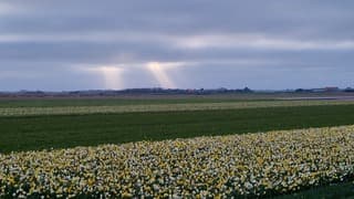 Jacobsladders boven Texel vanmorgen 