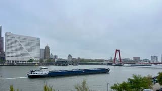 Grijze lucht en geen zon te bekennen 