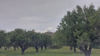Bewolkt op Rhodos