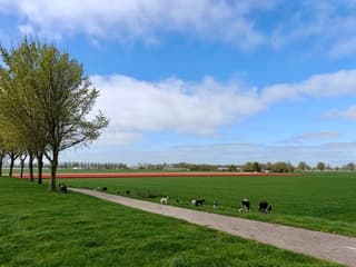 De wolken verdwijnen als sneeuw voor de zon