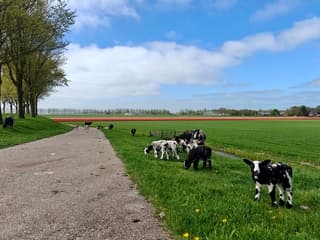 Steeds meer blauwe lucht 