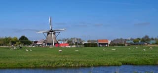 Hollands plaatje in Uitgeest vandaag 