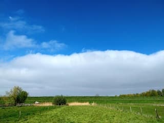 Toch nog blauw 