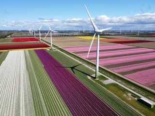 Flevoland tulpenroute