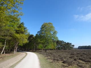 Genieten!