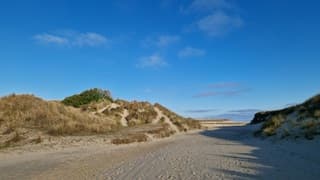 Zonovergoten in de Slufter!