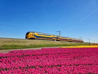  prachtige lente dag ..met veel kleur...