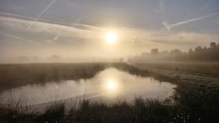 Zonsopkomstweerspiegelingen in de ochtendmist