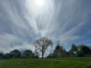 Lijkt wel een wolken bliksem na de boom toe 