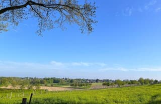 Zonnige ochtend