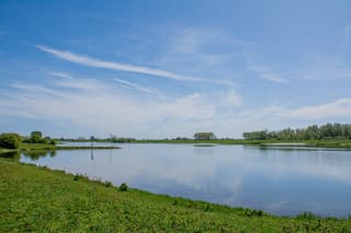 Zon en sluierwolken