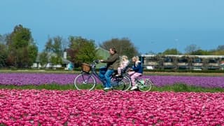 HOPELIJK WERKT DE BUIENRADARSITE VANDAAG WEL