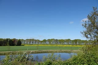 Koolzaadbermen vanaf Fort Nieuwersluis