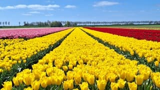 Heerlijk lenteweer